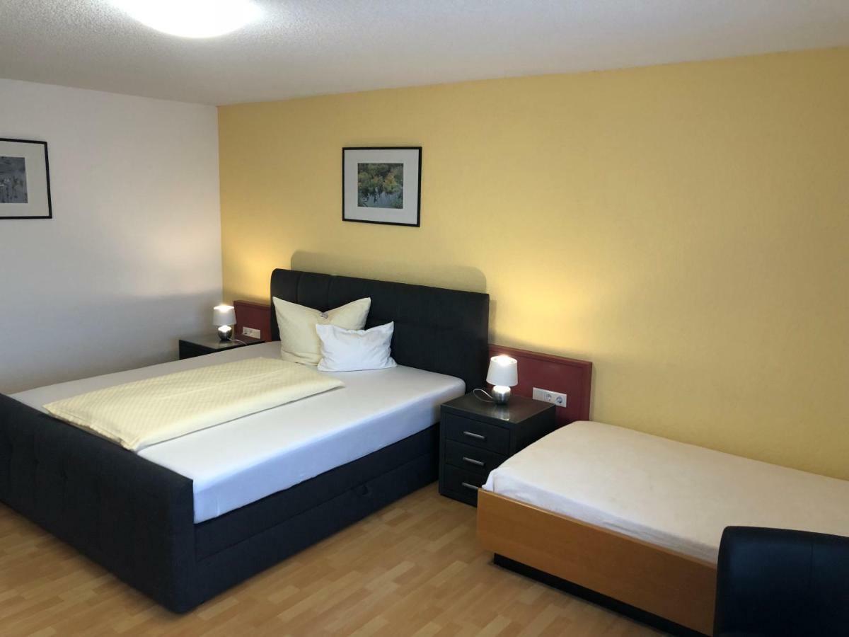 באד זקינגן Tiptop Hotel Am Hochrhein מראה חיצוני תמונה