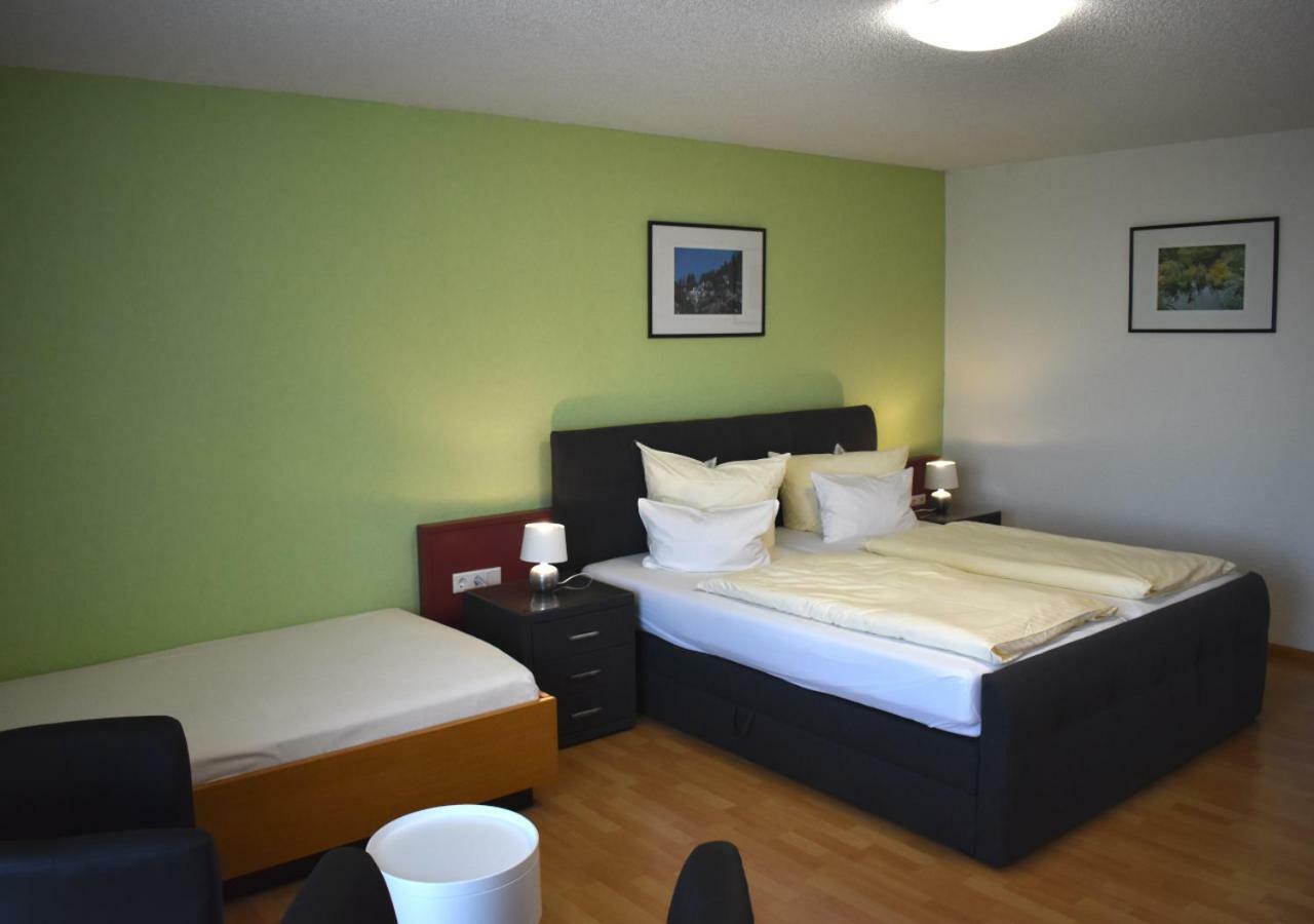 באד זקינגן Tiptop Hotel Am Hochrhein מראה חיצוני תמונה